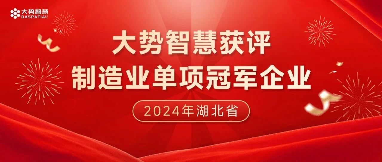 制造业皇冠添明珠！大势智慧获评湖北省制造业单项冠军企业