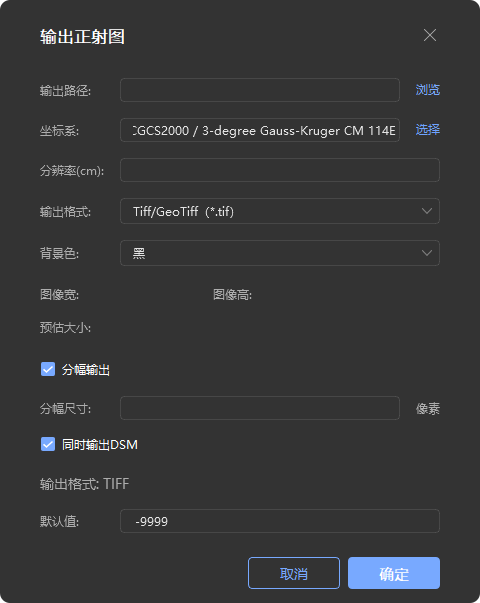 输出正射图